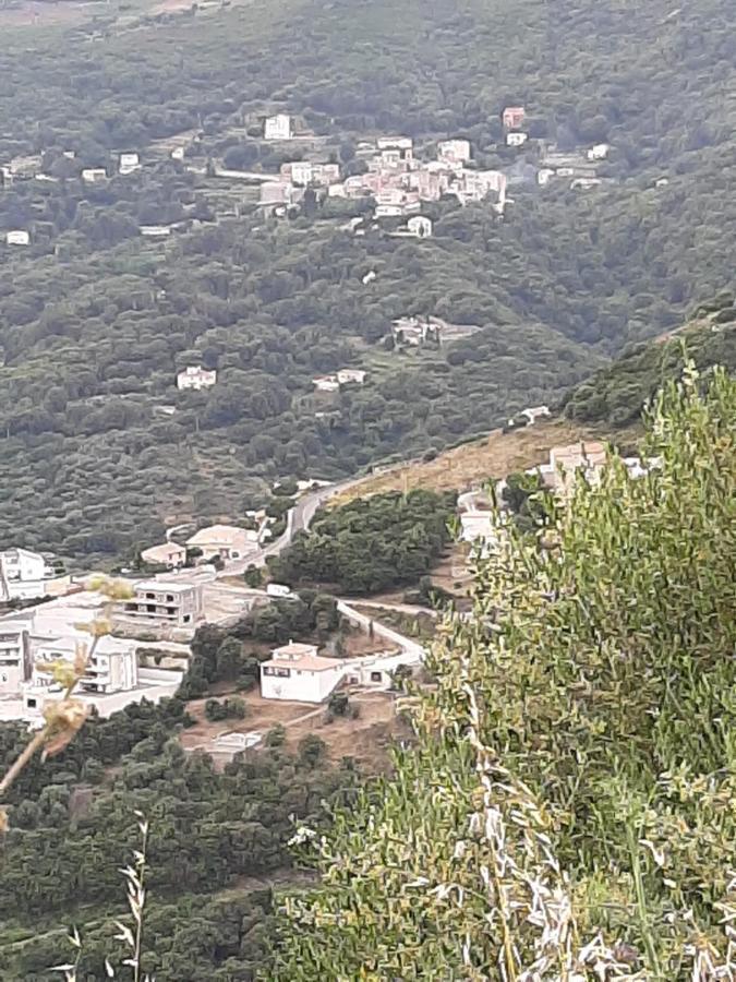 Ribellu Villa Bastia  Exterior photo